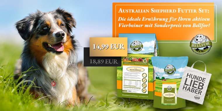 Australien Shepherd Futter