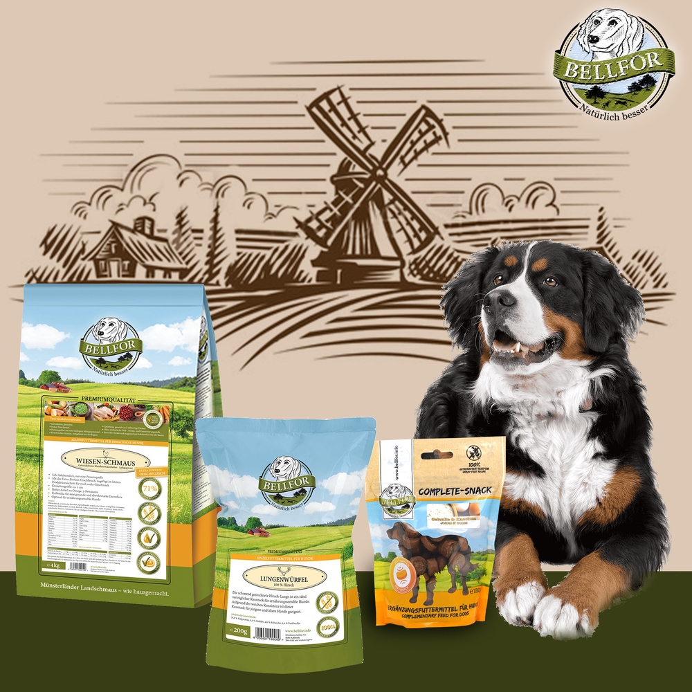 Berner Sennenhund Futter Set - Wiesen-Schmaus 4 kg + Gelenke & Knochen Complete-Snack 150 g + Hirsch Lungenwürfel 200 g