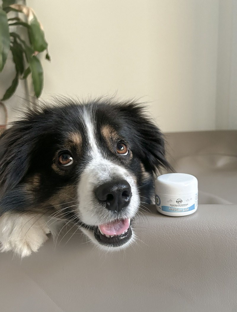 Analdrüsen Salbe für Hunde - 30 ml