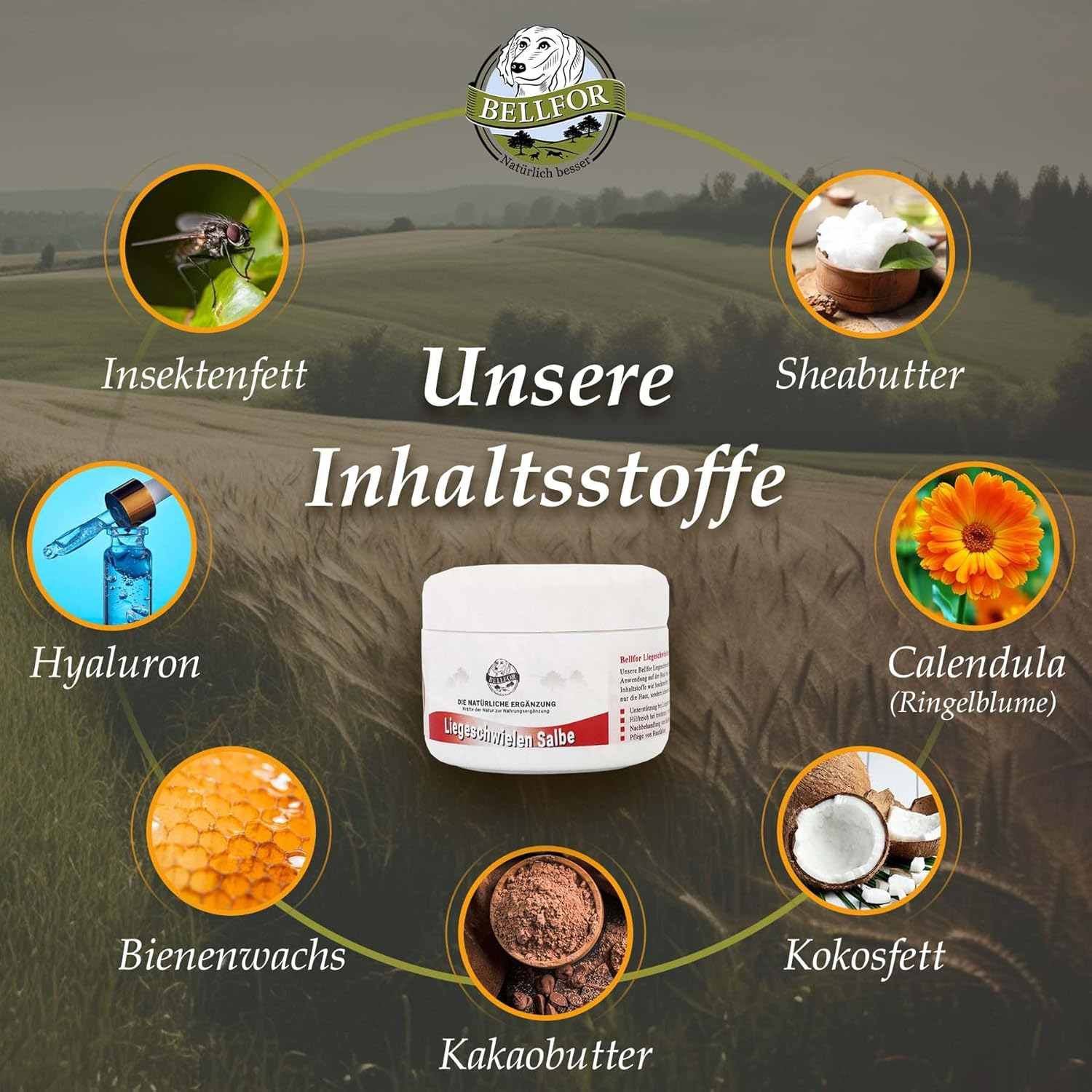 Liegeschwielen Salbe für Hunde - 30 ml