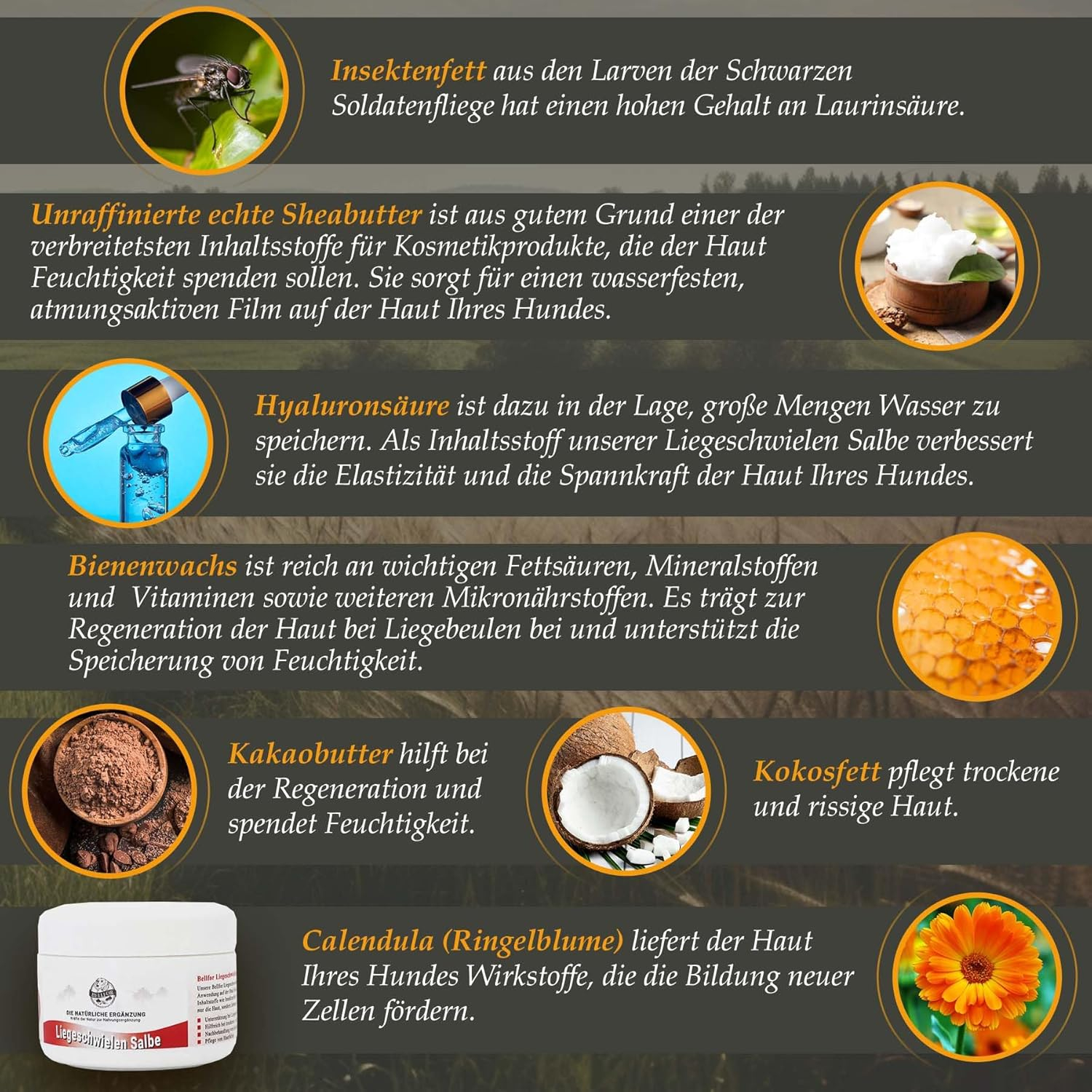 Liegeschwielen Salbe für Hunde - 30 ml