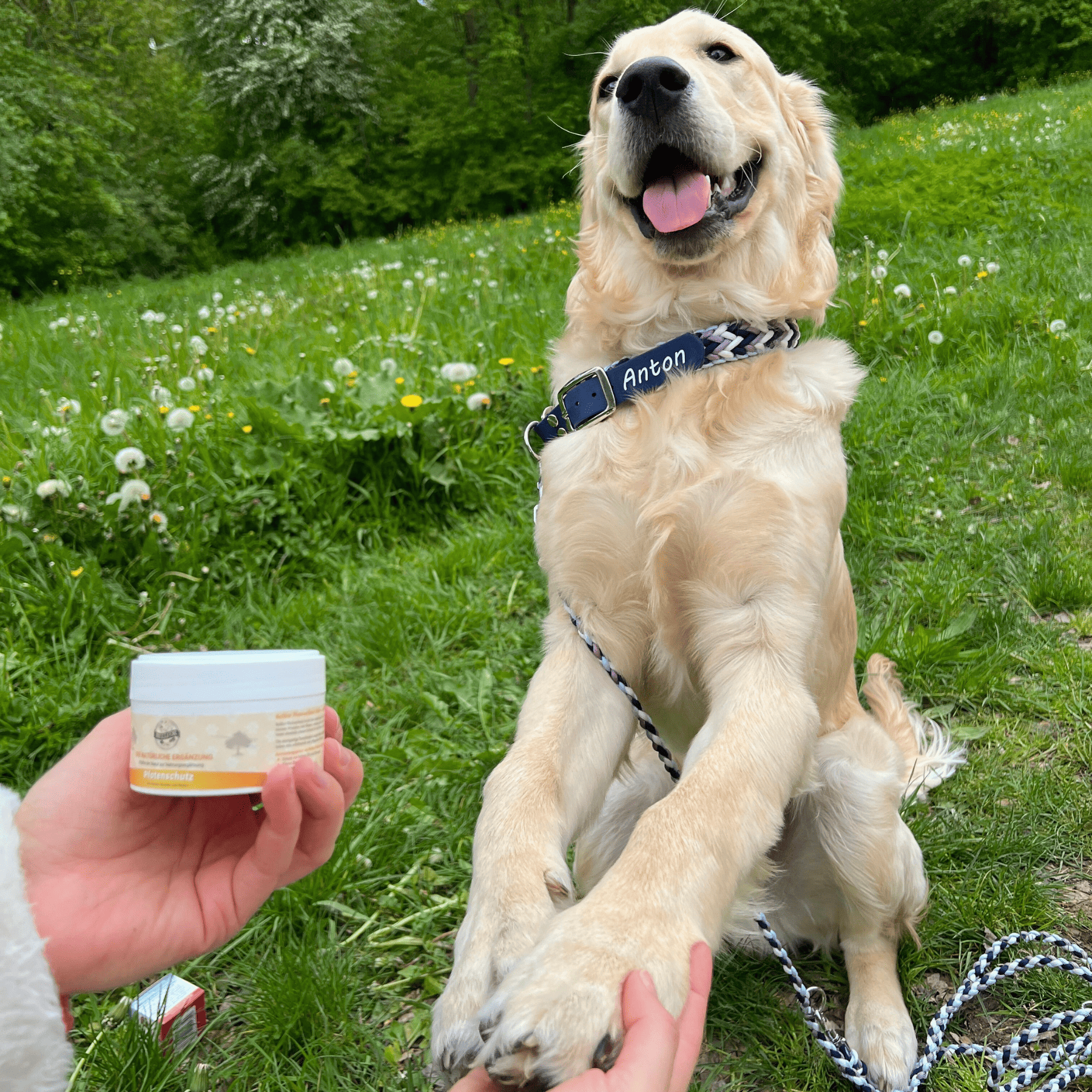 Salbe für Pfotenschutz Hunde - 100ml
