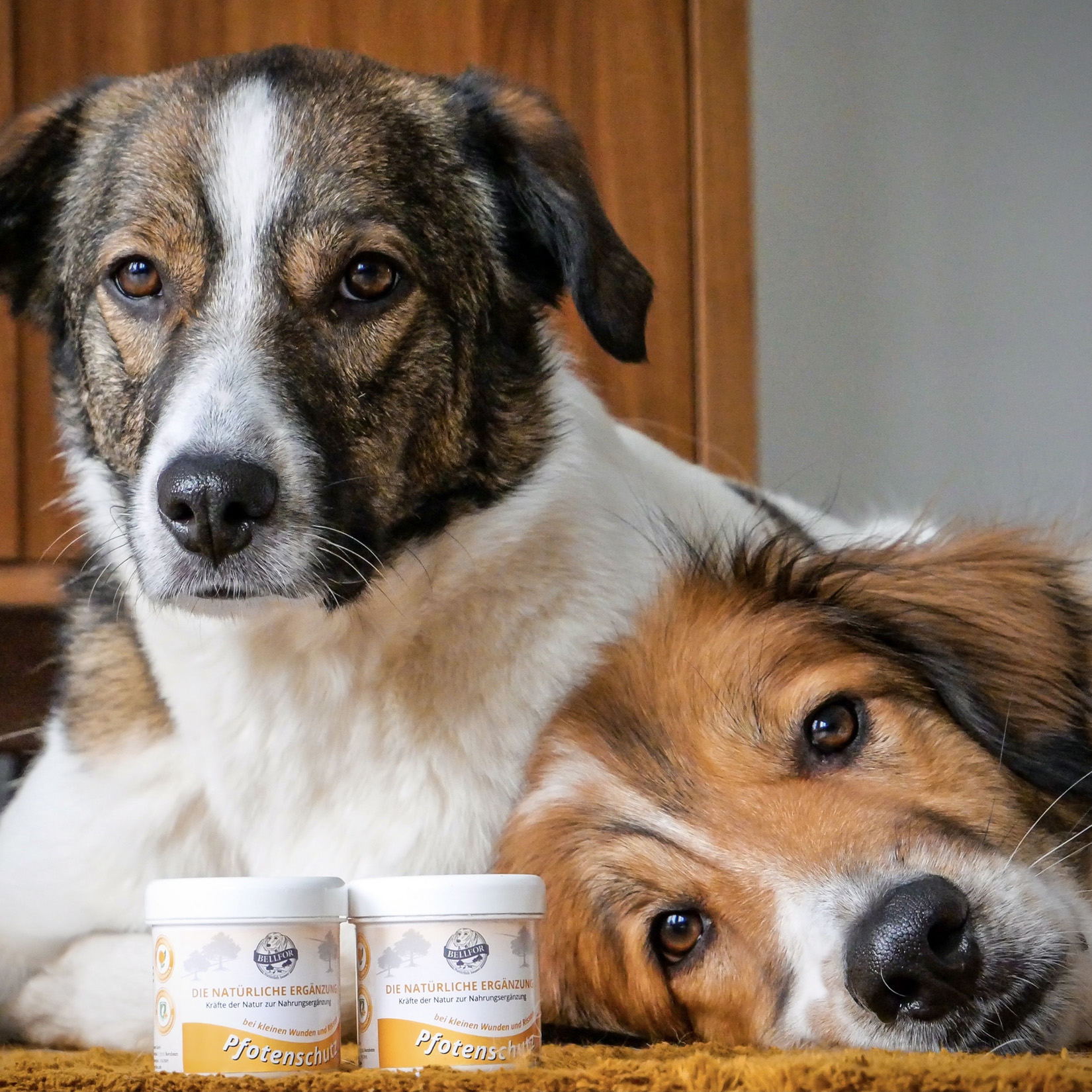 Salbe für Pfotenschutz Hunde - 100ml