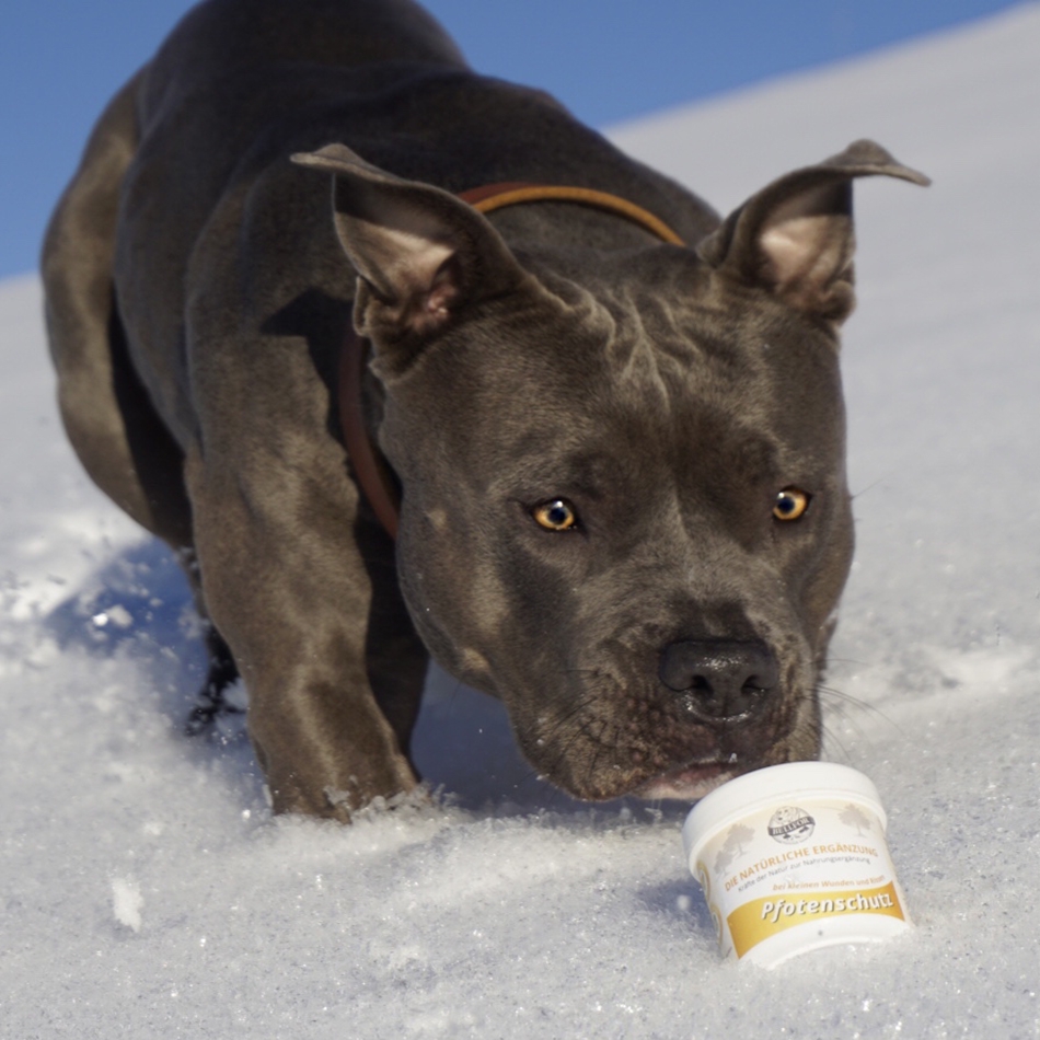 Salbe für Pfotenschutz Hunde - 100ml