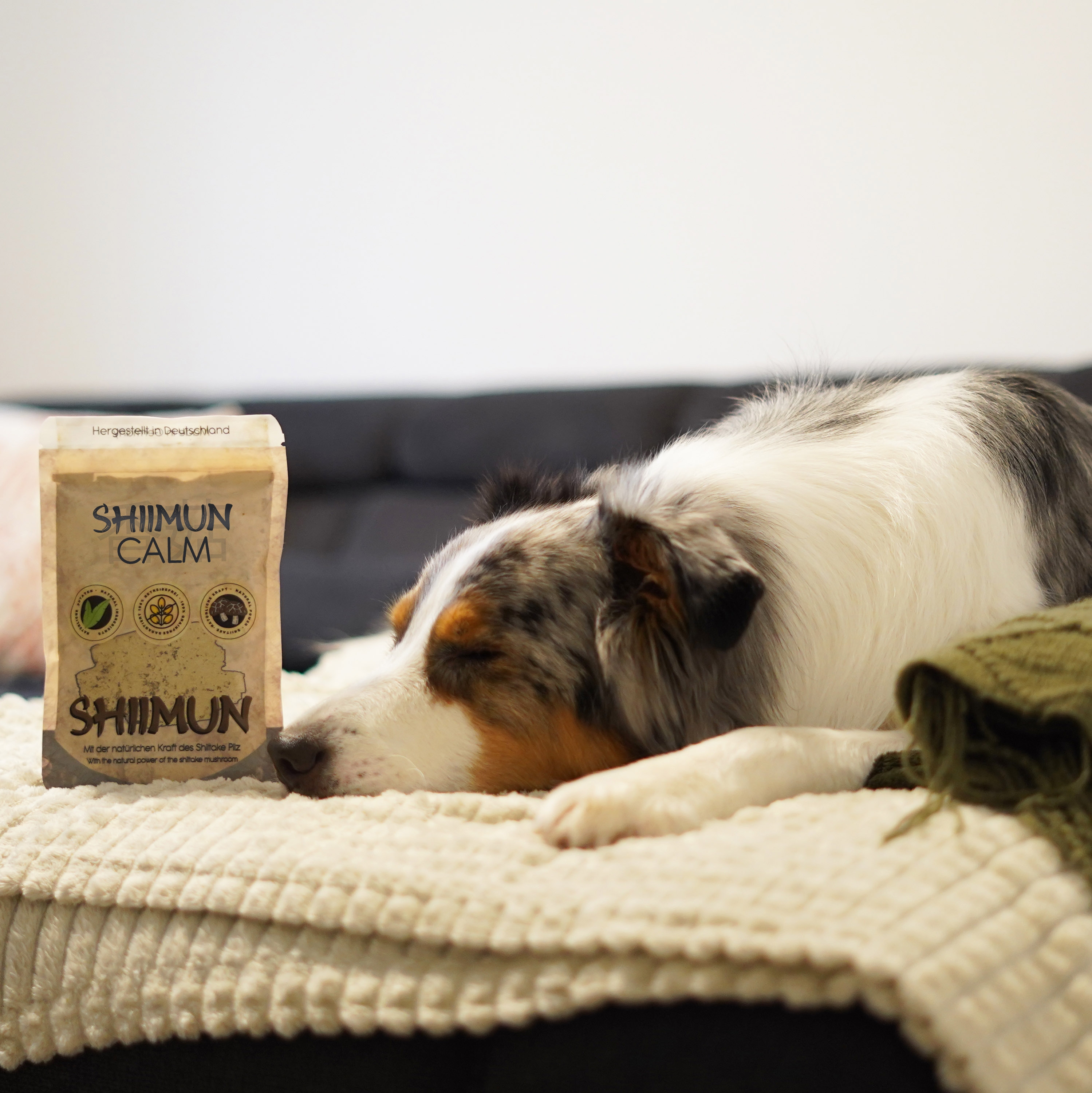 Shiimun Calm Pulver - 120 g