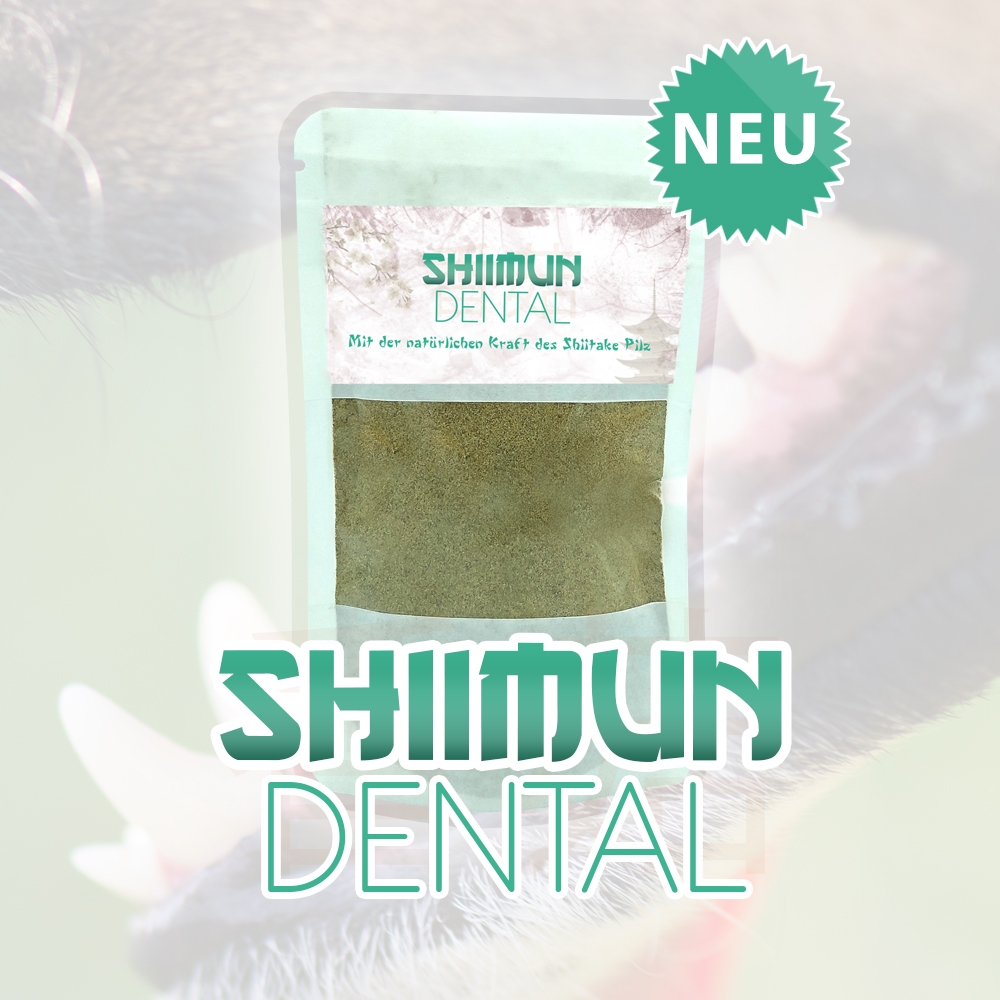 Shiimun Dental Pulver - 120 g