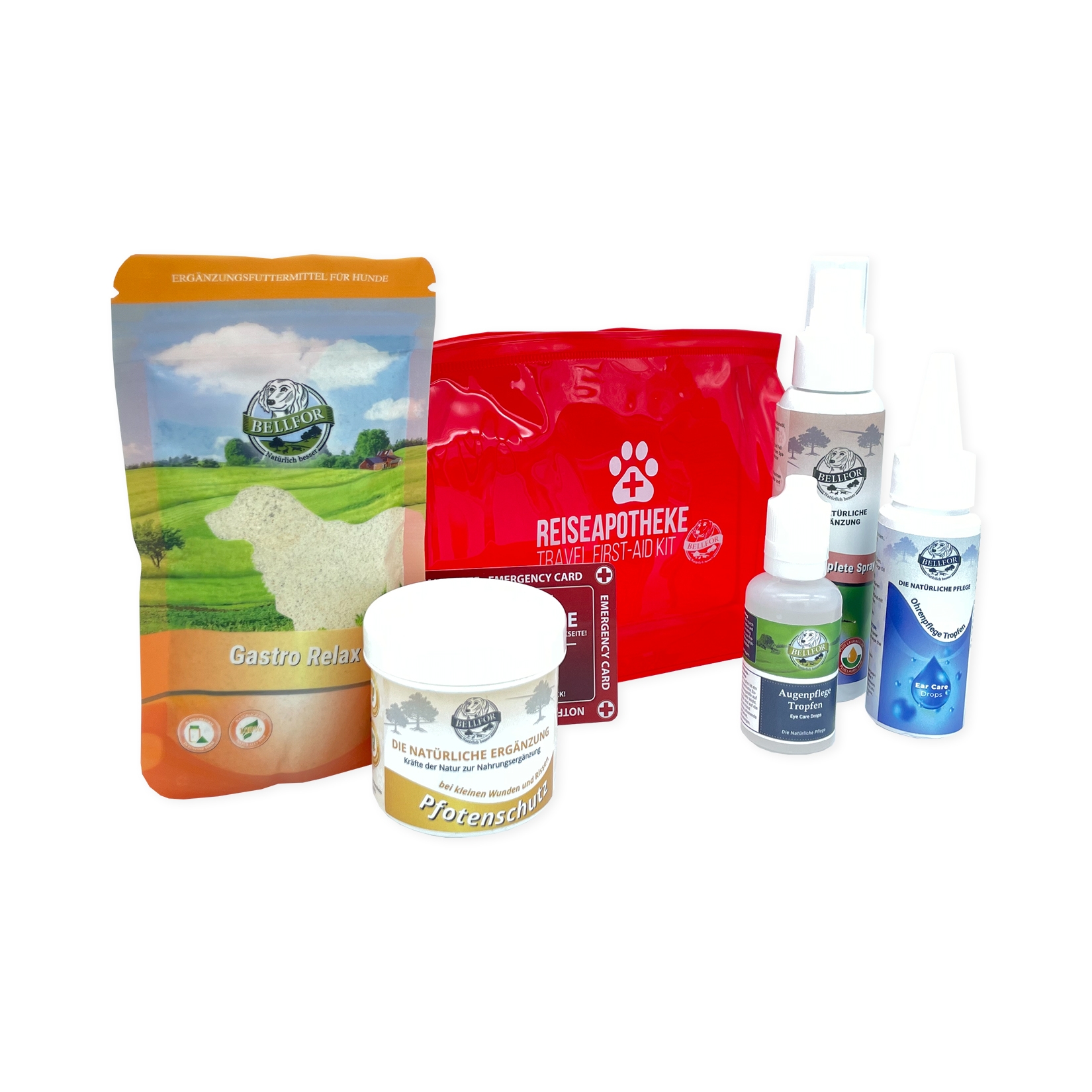 Wichtige Produkte für Ihre Hunde-Reiseapotheke als günstiges Sparset