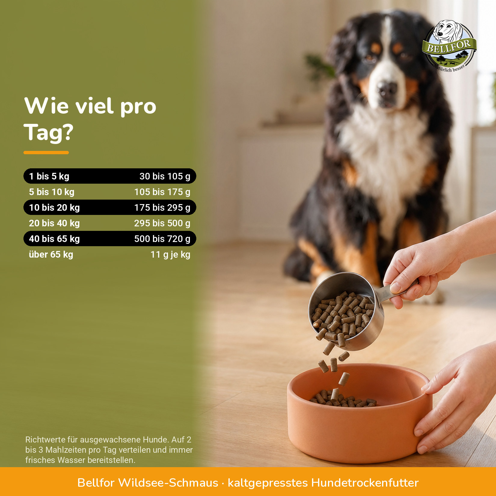 Getreidefreies kaltgepresstes Hundetrockenfutter mit Ente - Wildsee-Schmaus - 4 kg