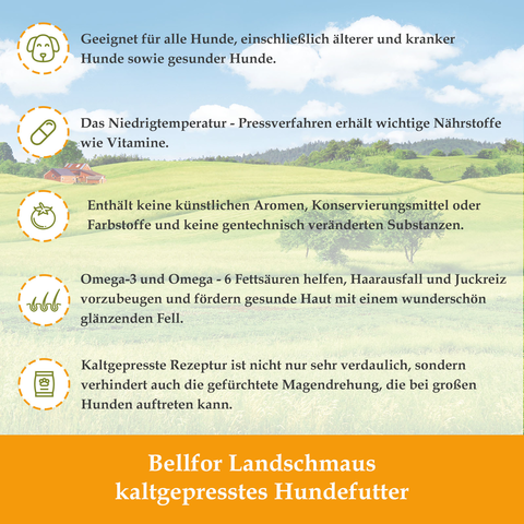 Kaltgepresst Trockenfutter mit Lachs & Forelle - Forstbach-Schmaus - 10 kg