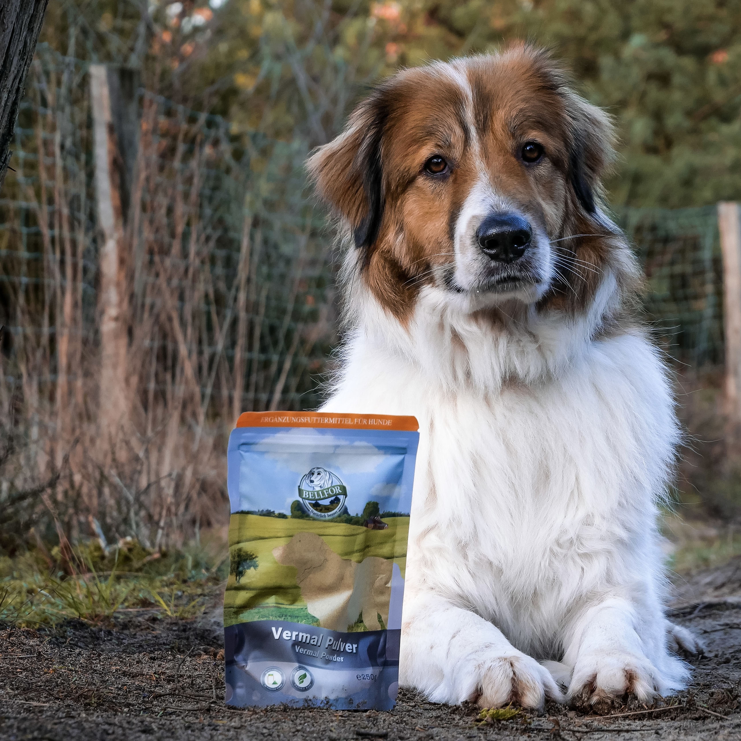 Vermal - Pulver - 250 g