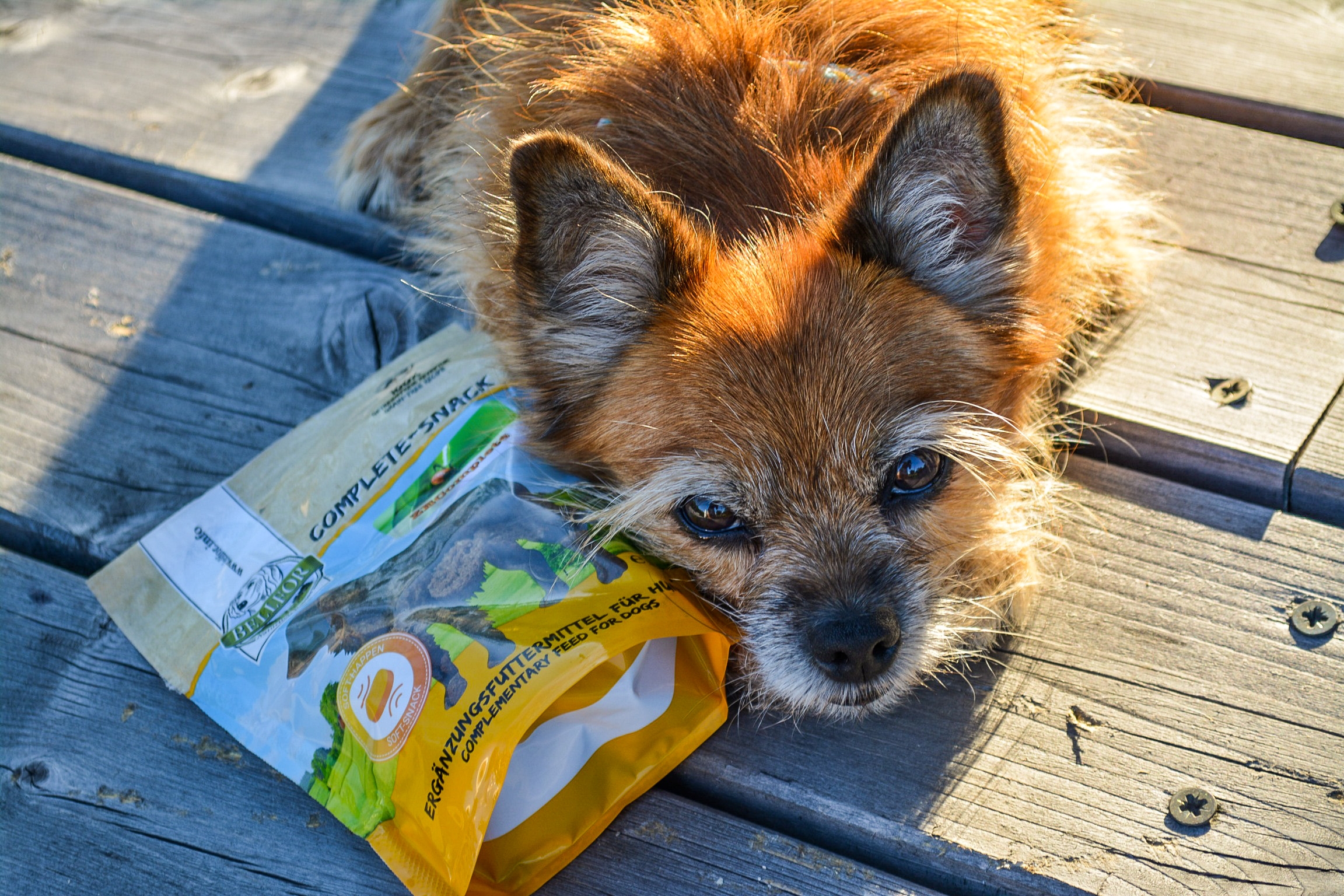 Complete-Snack ZEComplete Set für Hunde - 3 x 150 g