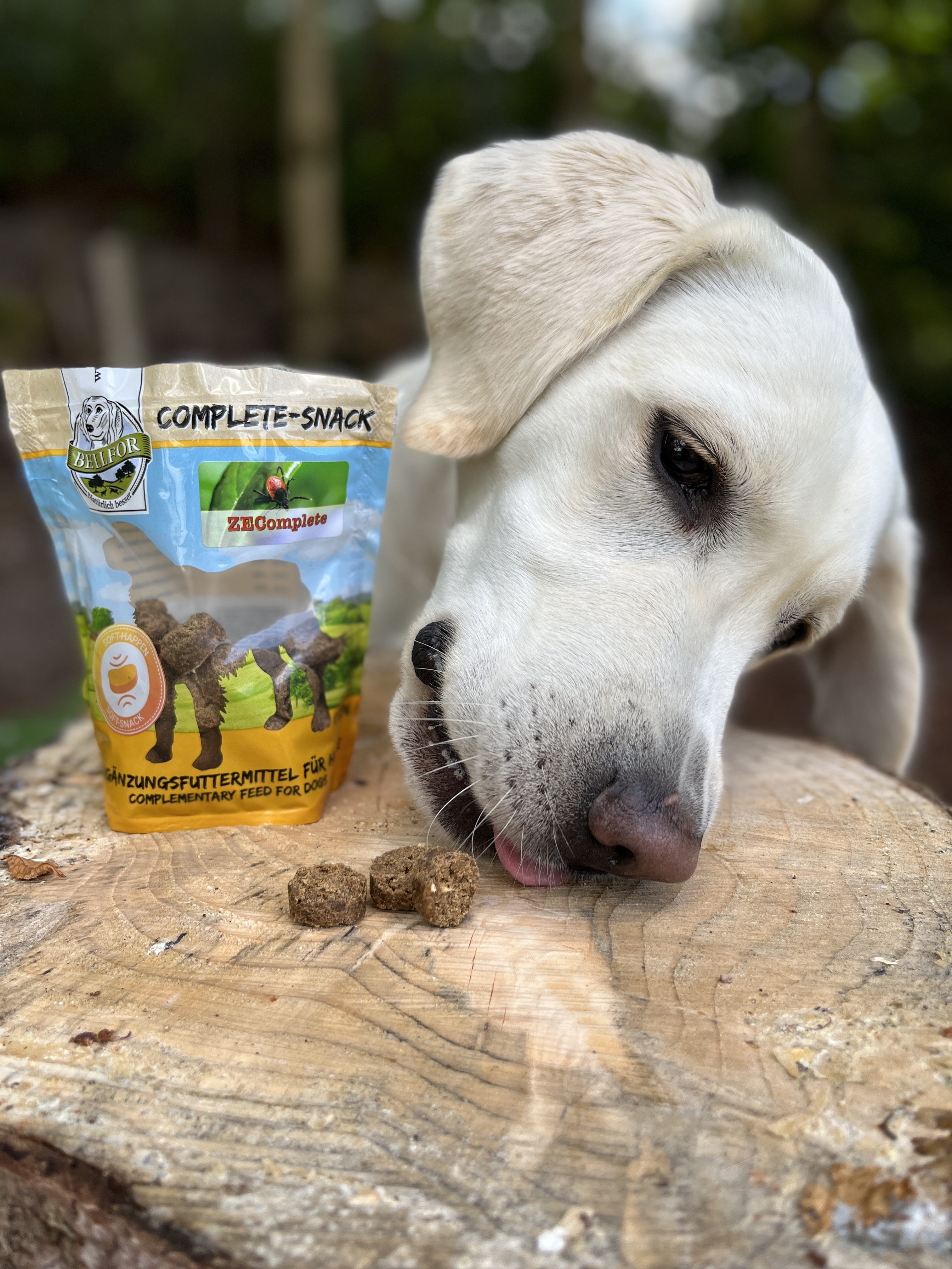 ZEComplete Set für Hunde