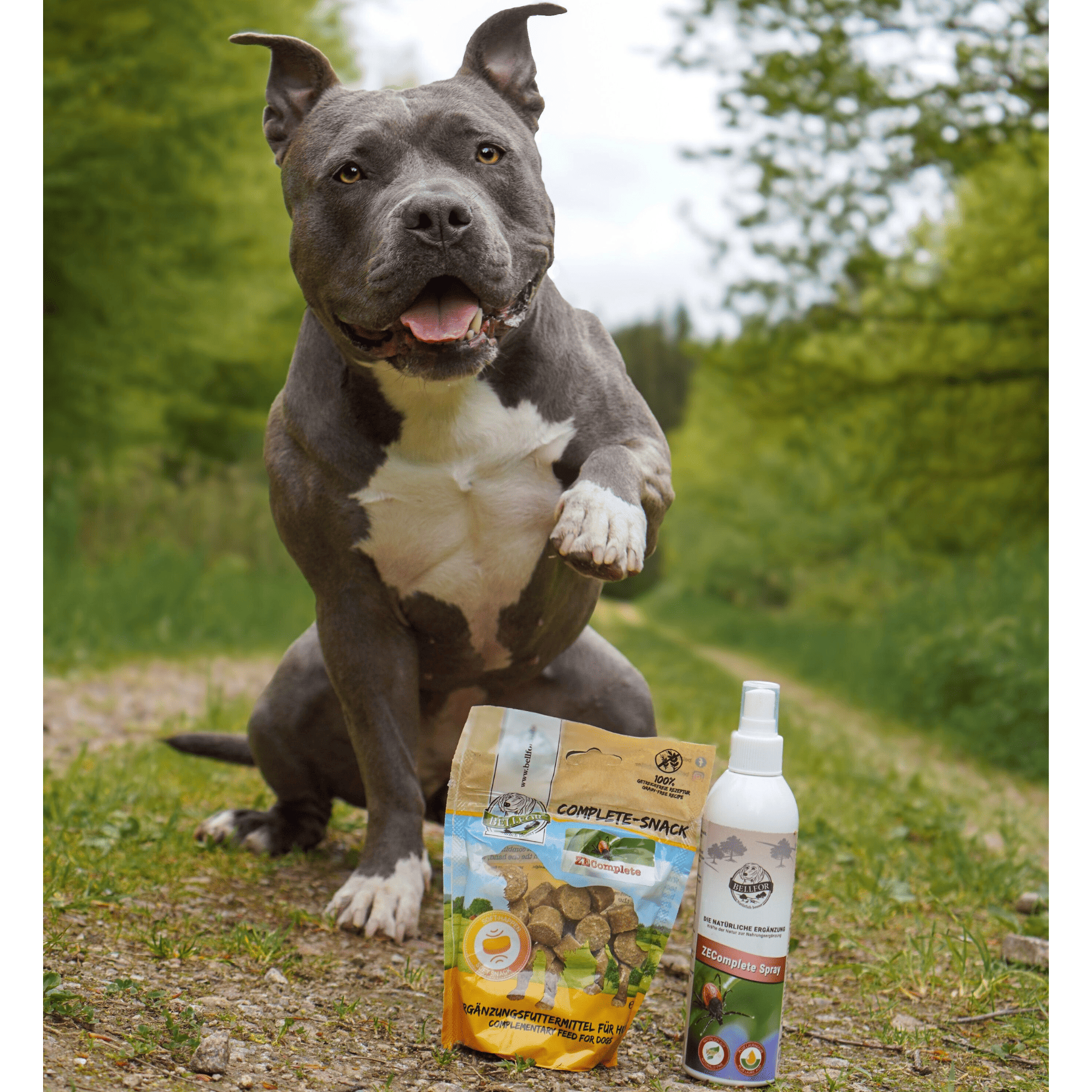 ZEComplete Set - Spray 250ml + Complete-Snack 150 g
