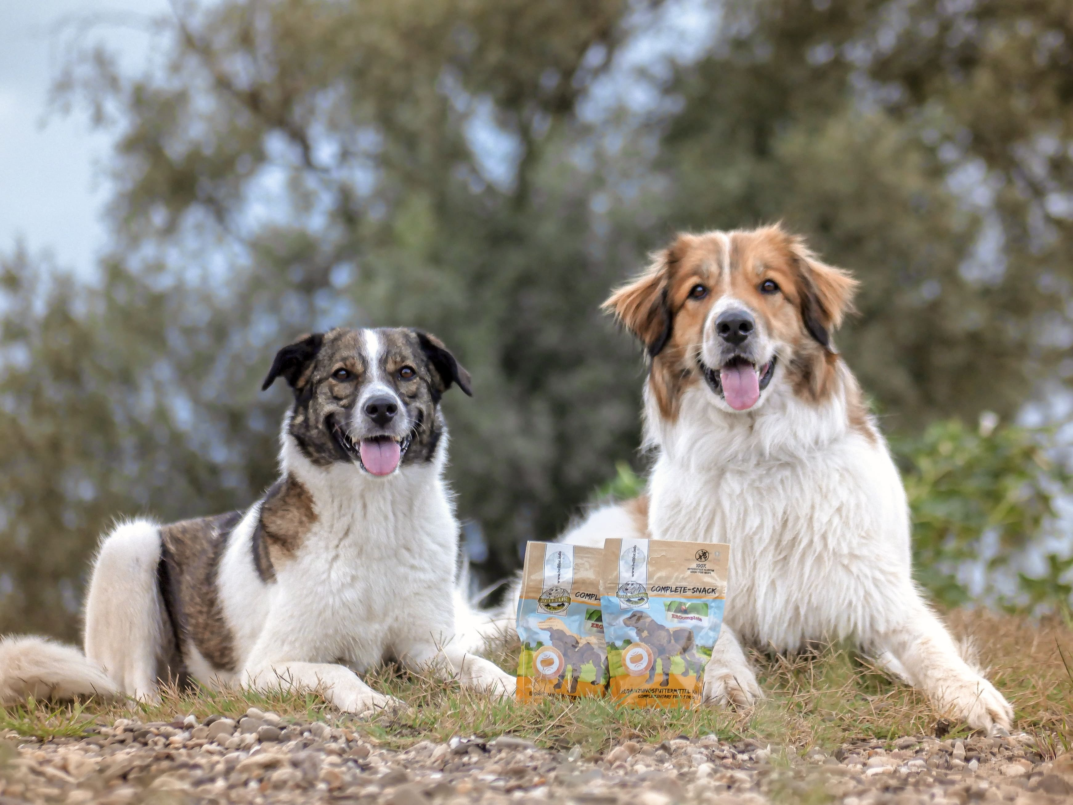 Complete-Snack ZEComplete Snacks für Hunde - 3 x 150 g