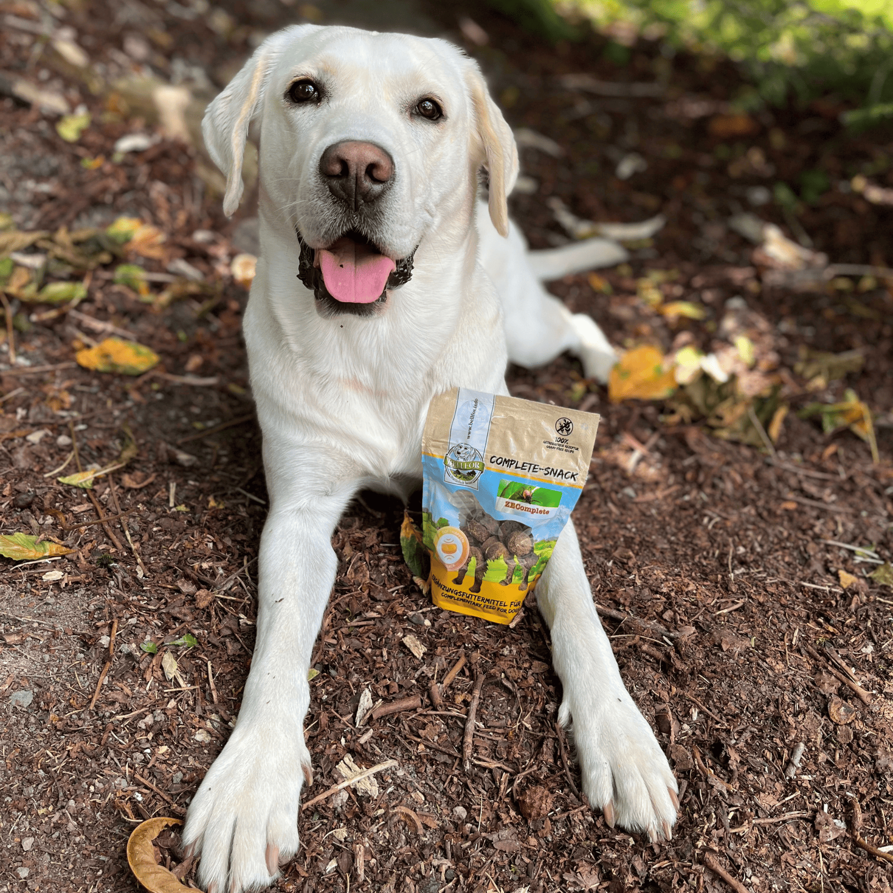 Complete-Snack ZEComplete Snacks für Hunde - 3 x 150 g