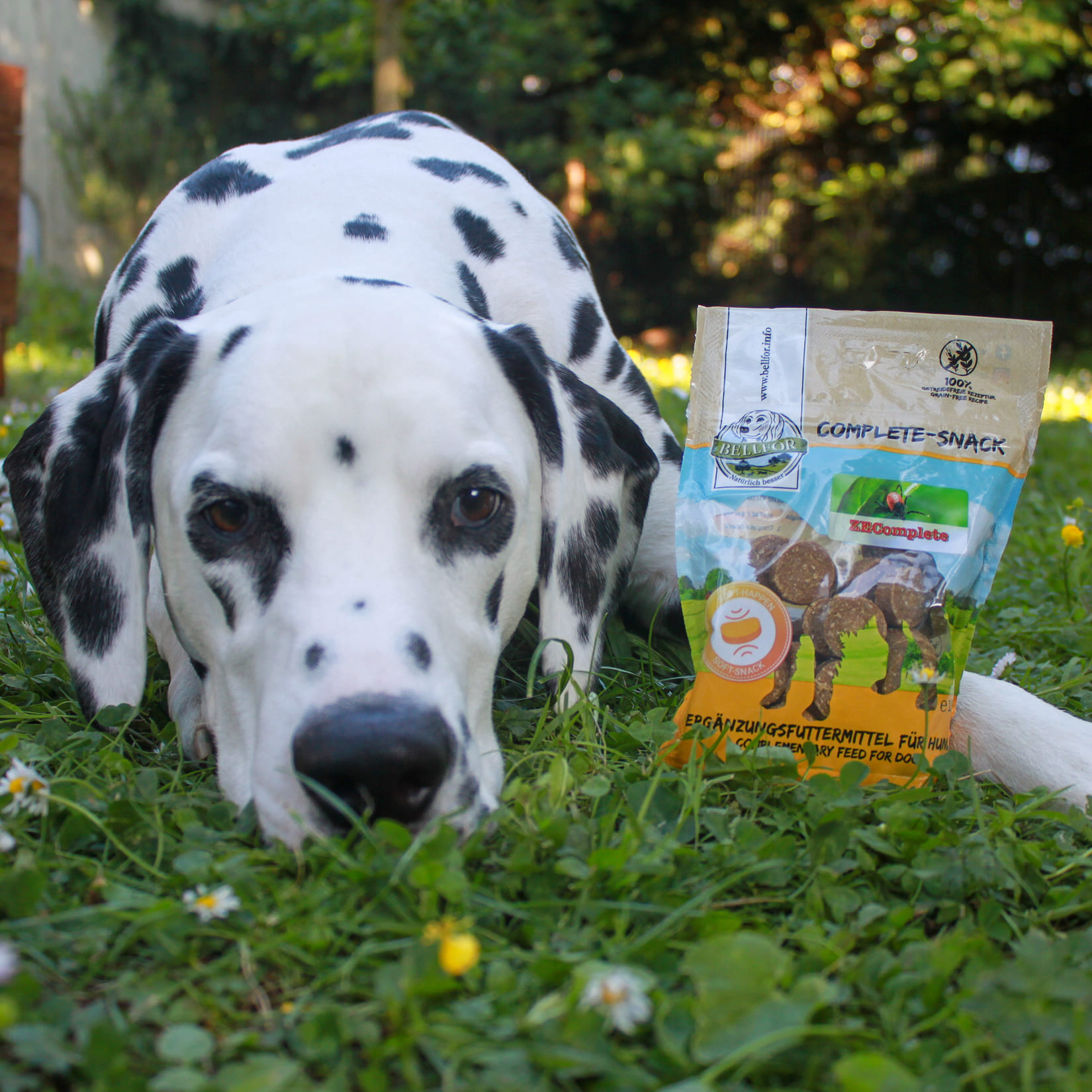 Complete-Snack ZEComplete für Hunde - 150 g