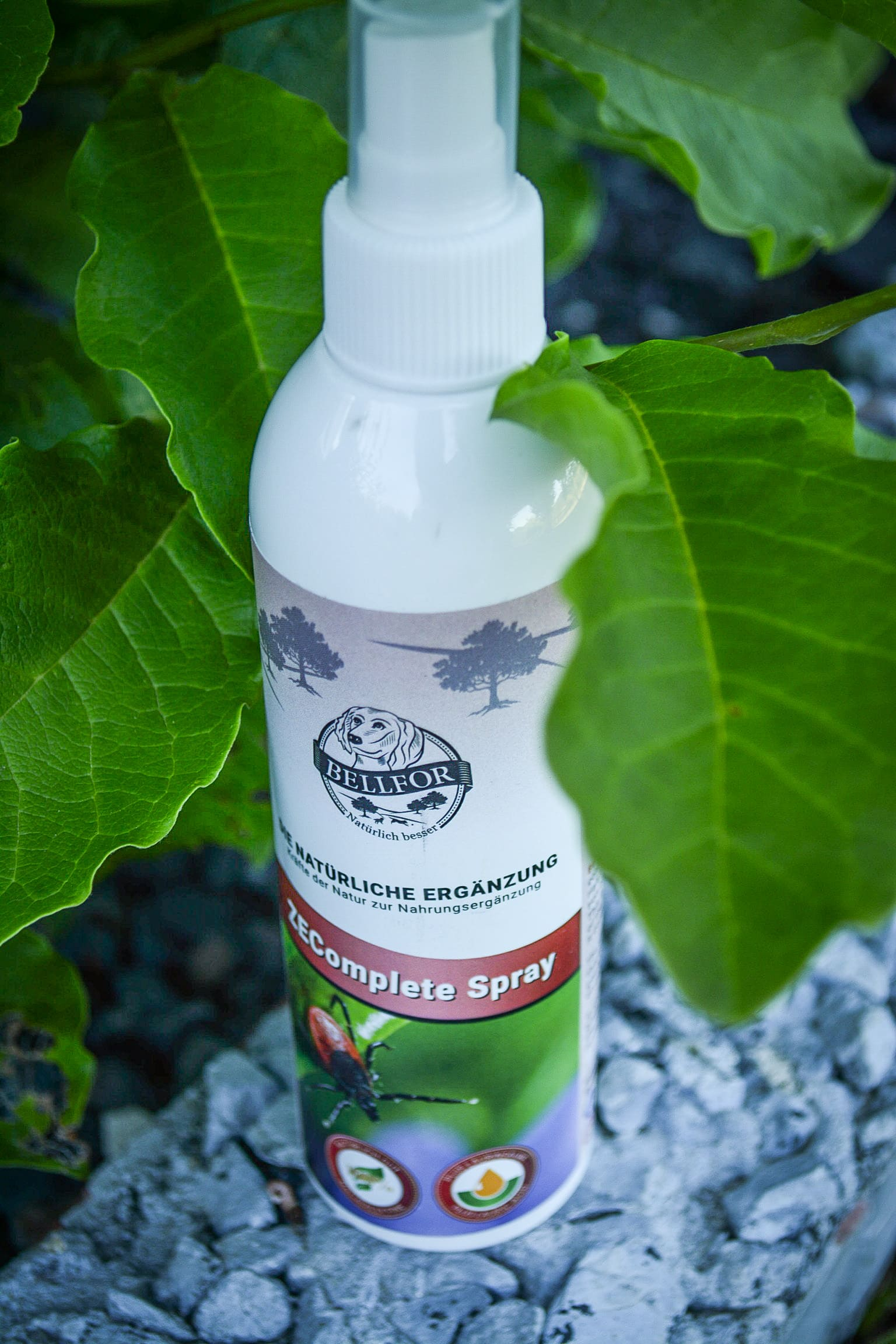 Anti-Zecken Spray von Bellfor - 100 ml