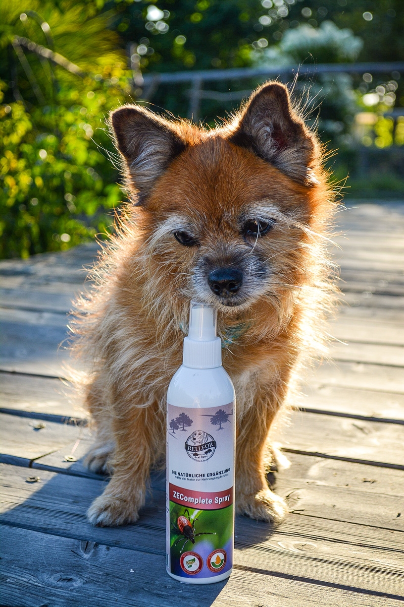ZEComplete Spray für Hunde - 100ml