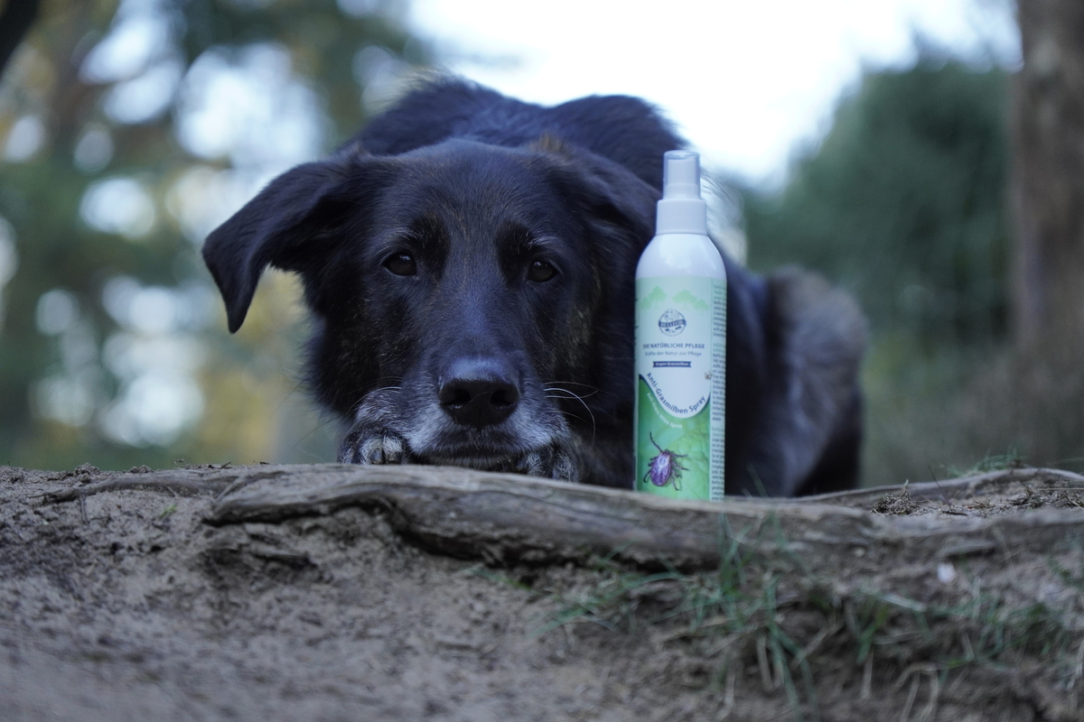 Anti-Grasmilben-Spray - 250 ml