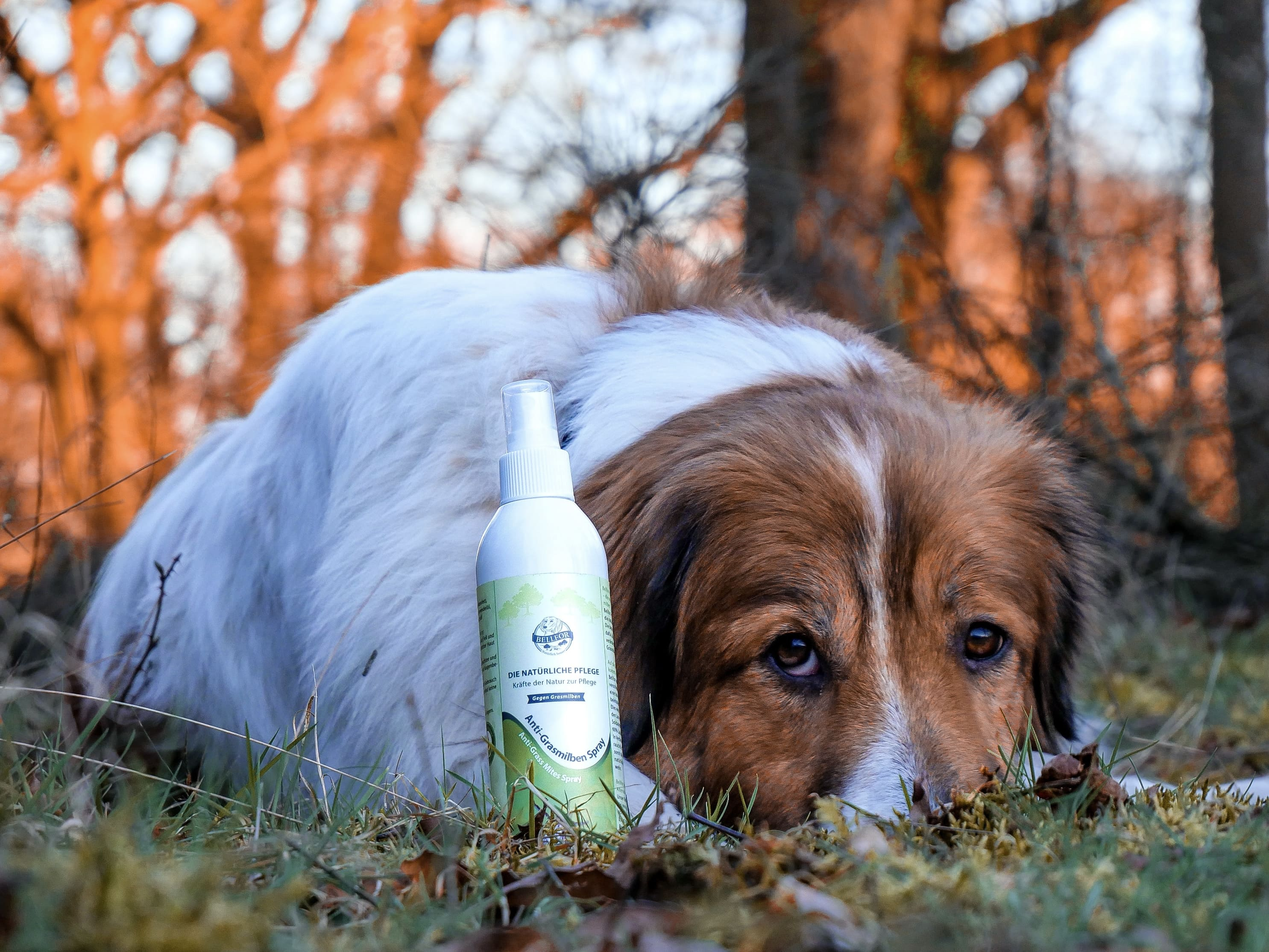 Anti-Grasmilben-Spray - 250 ml