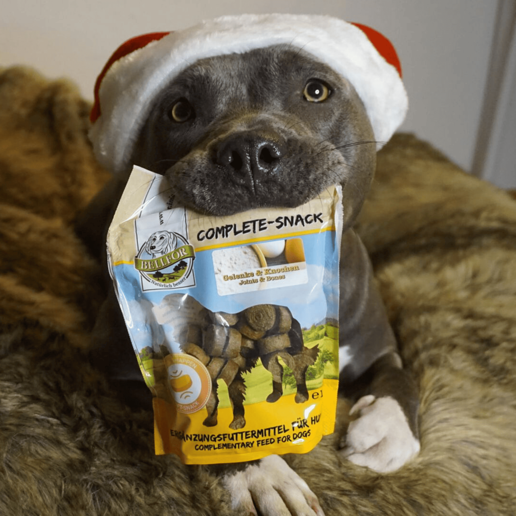 Complete-Snack Gelenke & Knochen - 150 g