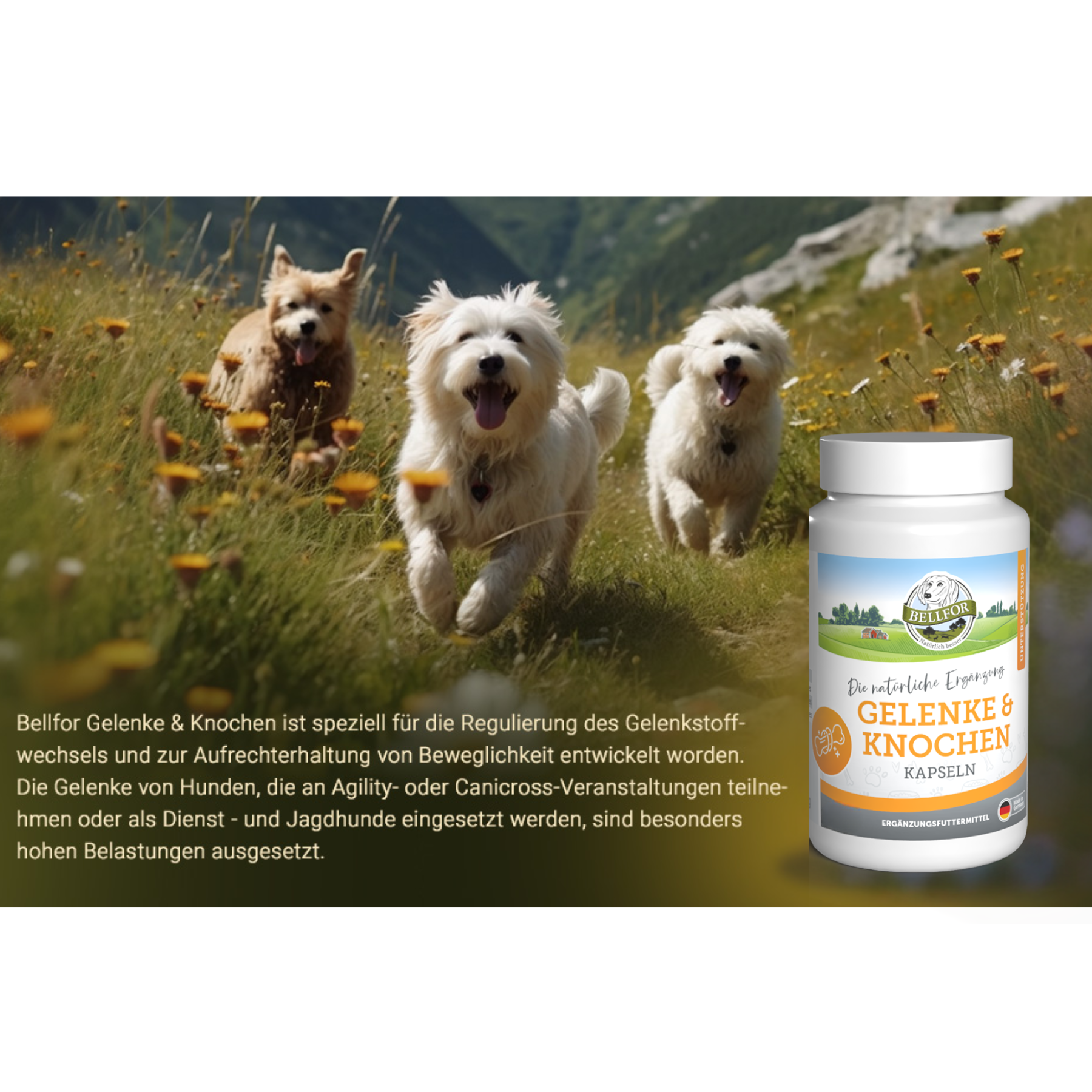 Gelenke & Knochen mit Ovopet - 50 Kapseln