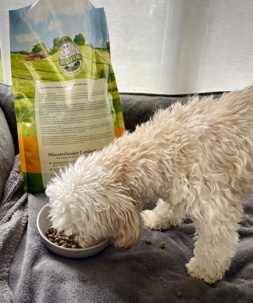 Trockenfutter für heranwachsende Hunde mit Insektenprotein - Landgut-Schmaus Junior - 7,5 kg
