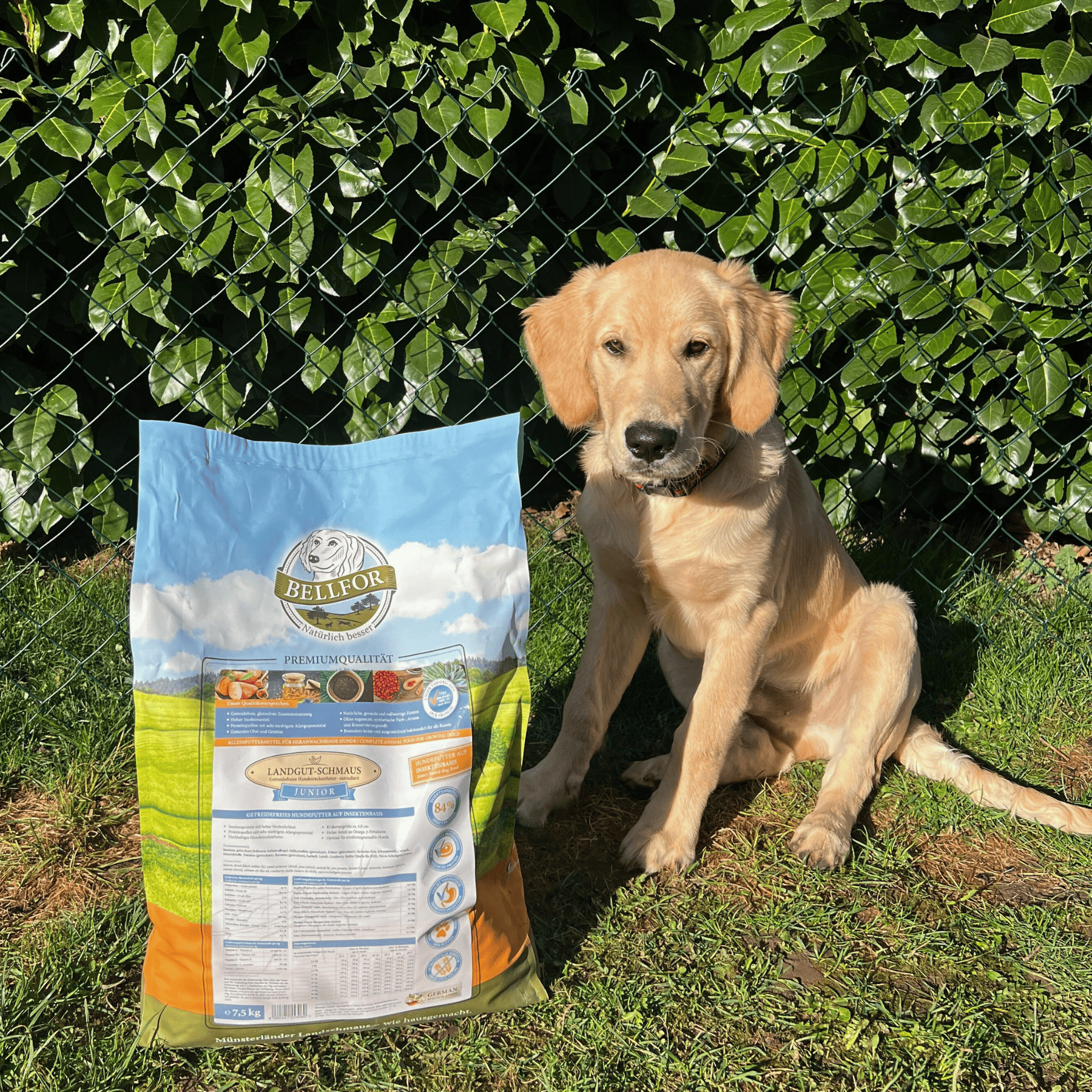 Trockenfutter für heranwachsende Hunde mit Insektenprotein - Landgut-Schmaus Junior - 7,5 kg