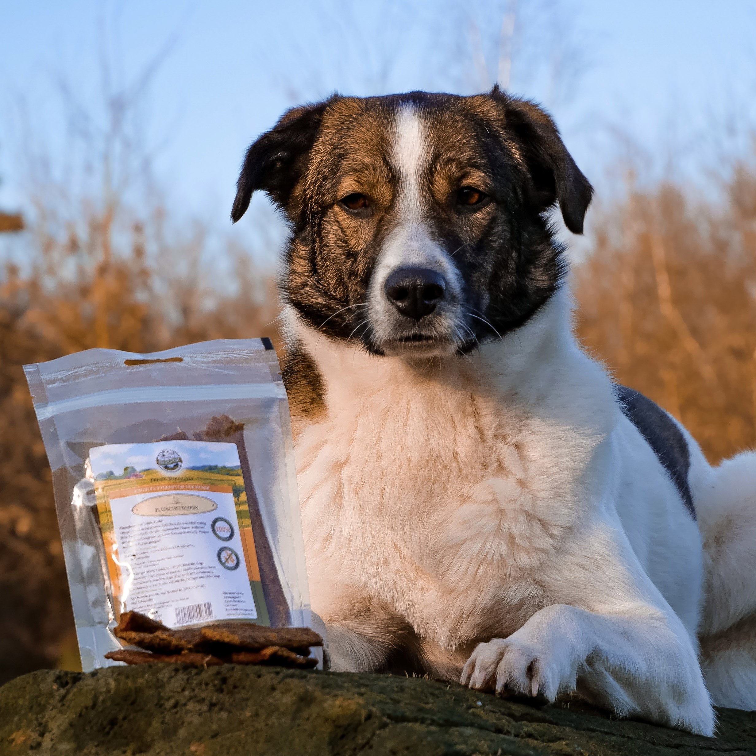 Hundesnack - Hühner Trockenfleisch - 100 g