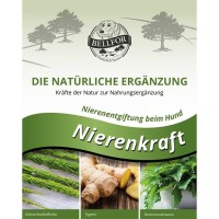 Warum Cremes bei schuppiger Haut beim Hund oft keine Wirkung zeigen