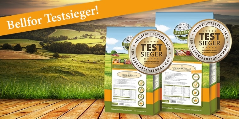 Testsieger