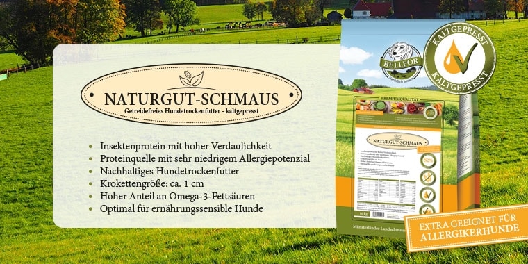 Kaltgepresstes Hundefutter