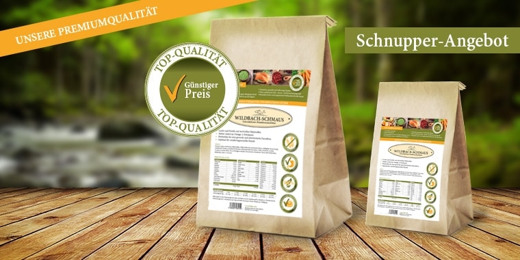 Schnupper-Angebot Schnupper-Angebot