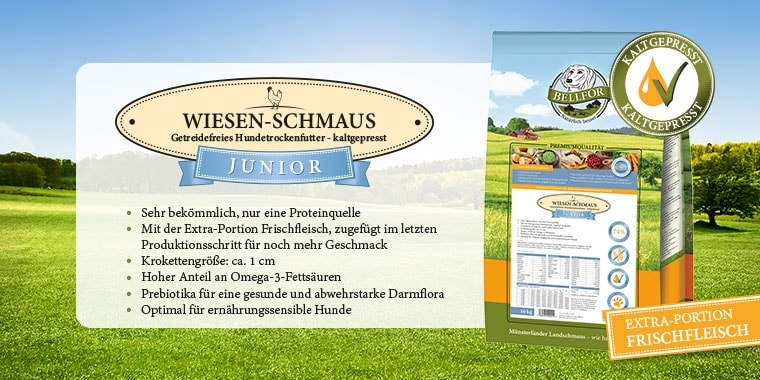 Kaltgepresstes Hundefutter