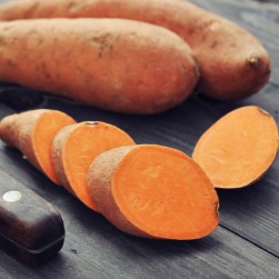 Sind Süßkartoffeln gesund für Hunde?