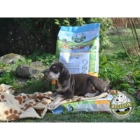 Premium-Trockenfutter für Hund: Landgut- und Naturgut-Schmaus