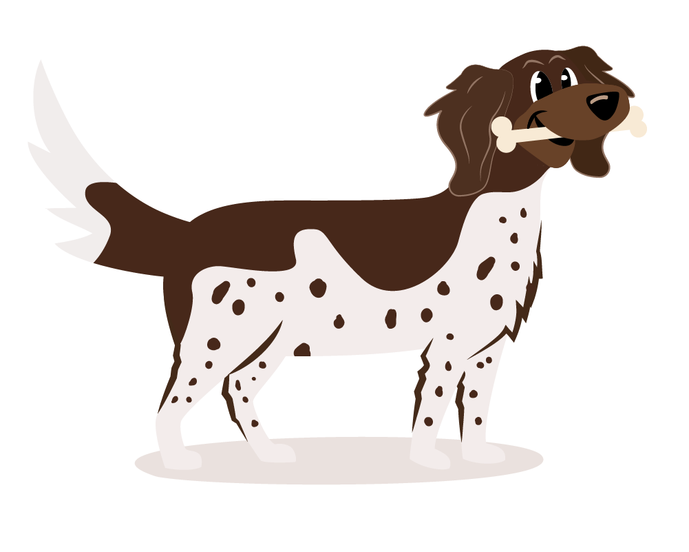 Australian Shepherd Futter