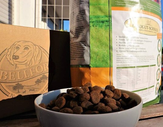 Futterempfehlungen bei einer Futtermittelallergie