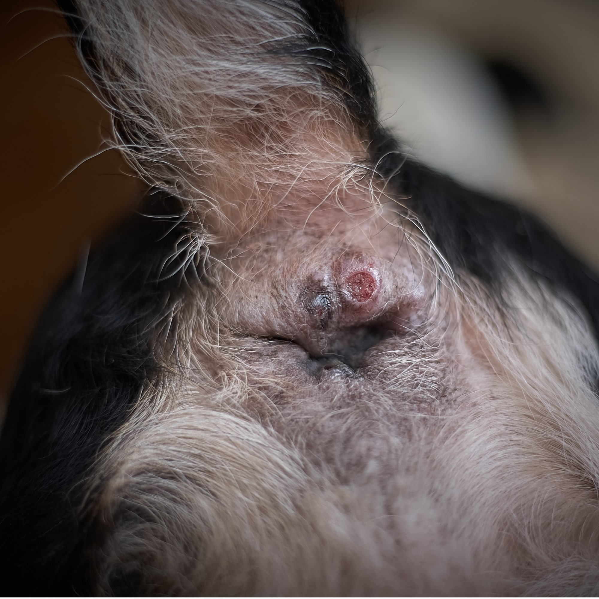 Behandlung und Diagnose