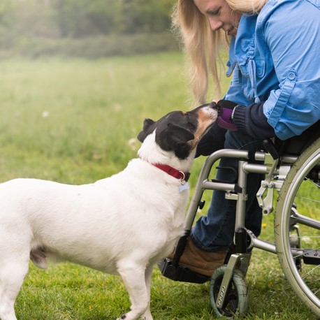 Nicht jeder Hund ist als Assistenzhund geeignet
