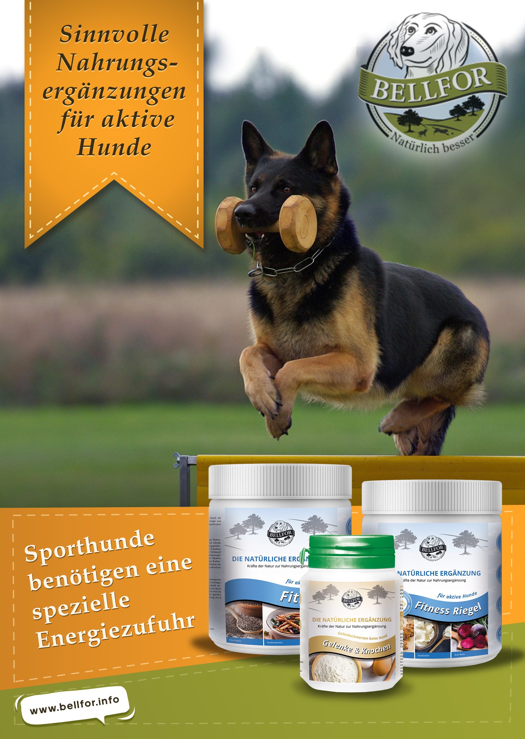 Flyer with Sport Hundefutter