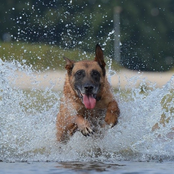 Speed-retrieve