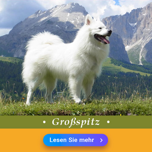 Großspitz