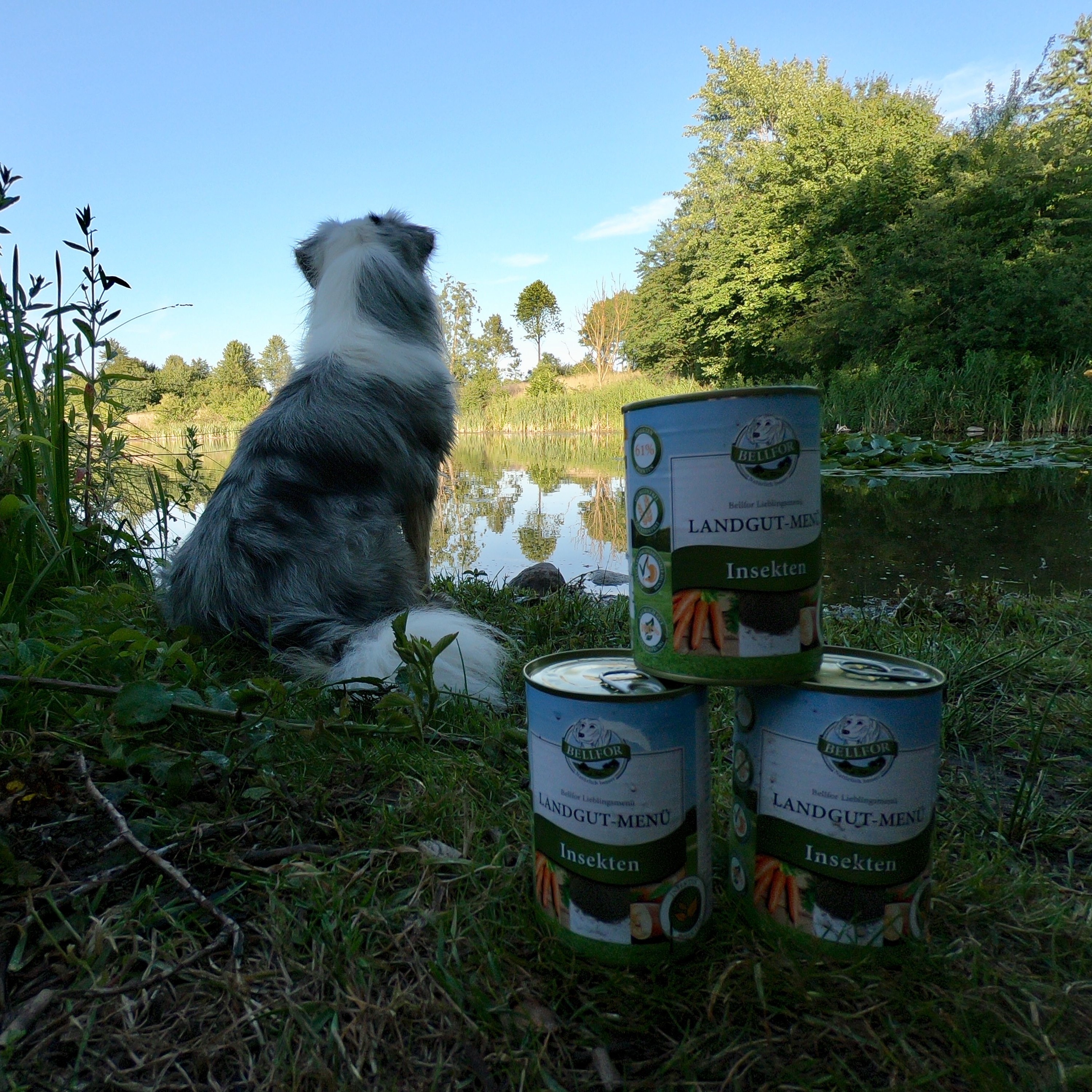 Hunde mit Landgut-Menu