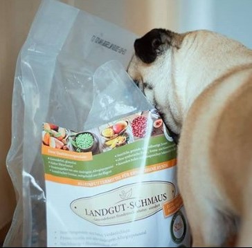 Mops mit Landgut-Schmaus