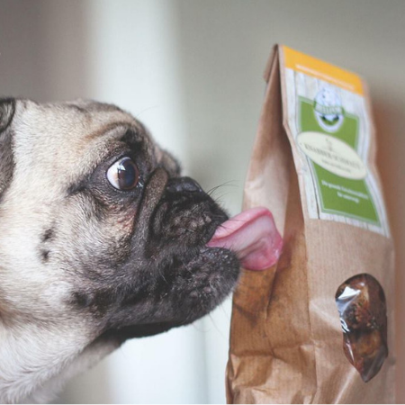 Natürliche Hundesnacks als gesunde Belohnung von Bellfor
