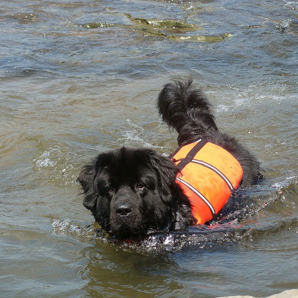 Wasserrettung