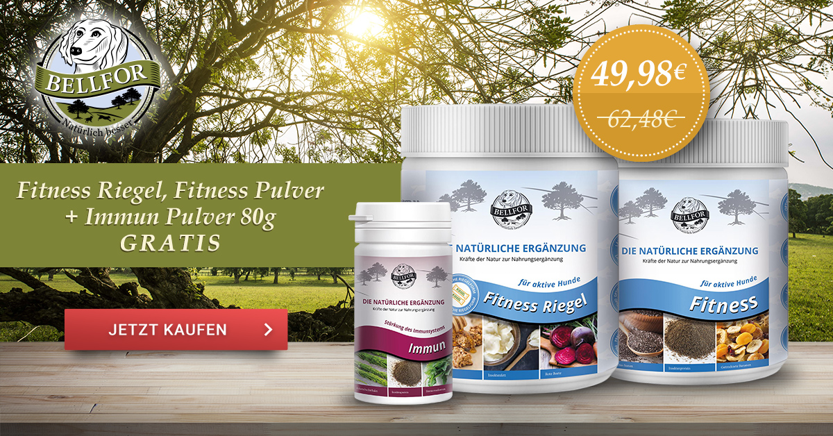 Banner mit Fitness Paket