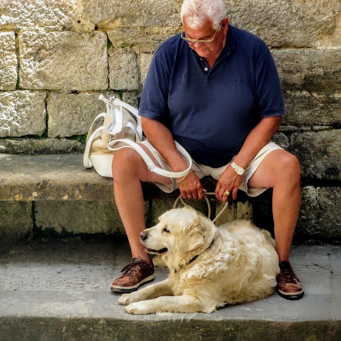 Ausbildung zum Therapiehund
