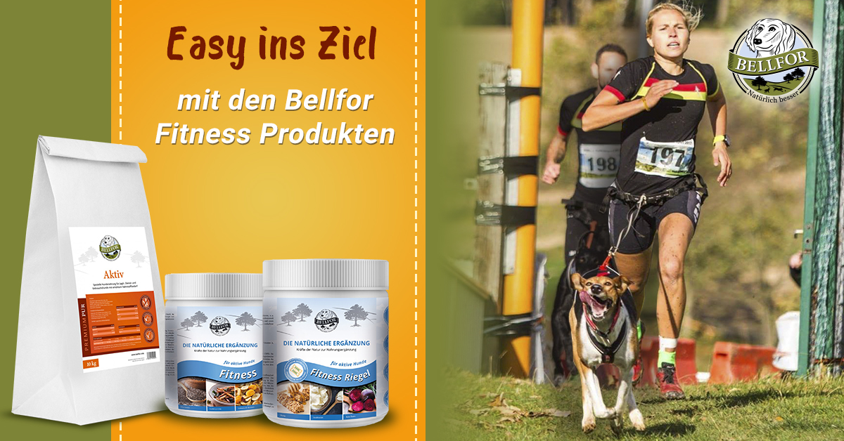 Banner mit Sporthunde futter